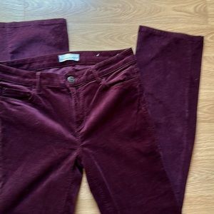 LOFT, corduroy bootcut pants, plum colored. Never worn.